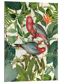 Gallery print Tropical Birds II