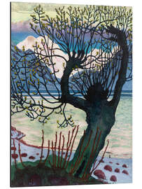 Magnettafel Frühlingsnacht und Weide