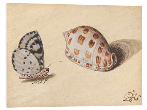 Foam board print Butterfly with seafood