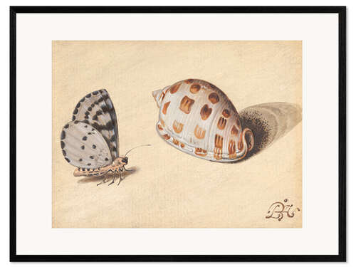 Framed art print Butterfly with seafood