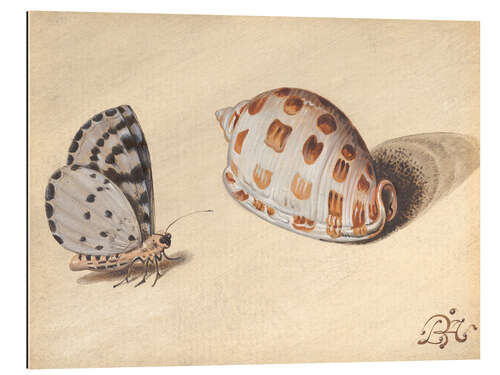 Gallery print Butterfly with seafood