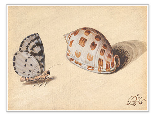 Poster Butterfly with seafood