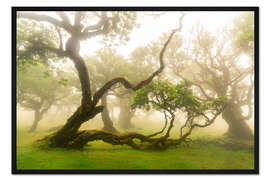 Gerahmter Kunstdruck Knorriger Baum - Märchenwald