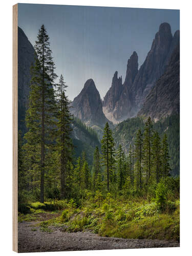 Wood print Dolomites