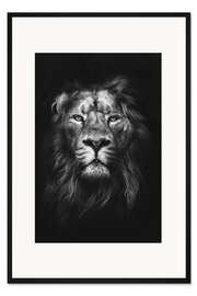 Gerahmter Kunstdruck Löwe