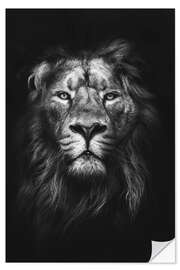 Wall sticker LION