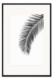 Gerahmter Kunstdruck Palmenwedel
