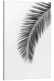 Magnettafel Palmenwedel