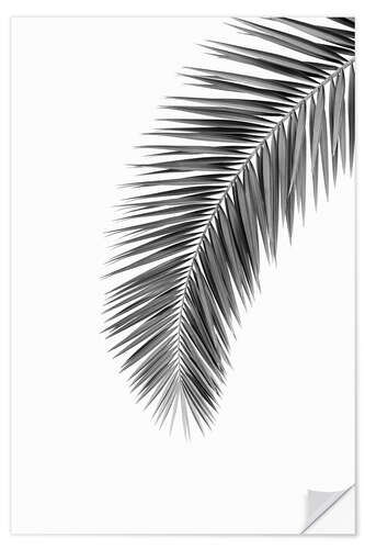 Wall sticker Palm Frond