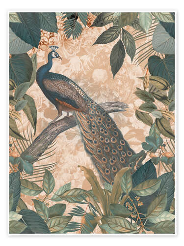 Poster Vintage Peacock