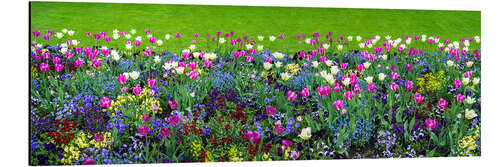 Aluminium print Flowerbed in the garden