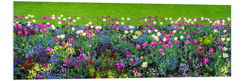 Foam board print Flowerbed in the garden