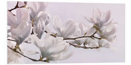 Foam board print Magnolia Blossoms Panorama I