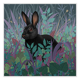Poster Black rabbit in the grass