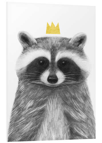 Foam board print Royal raccoon