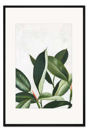 Gerahmter Kunstdruck Pura Vida IV