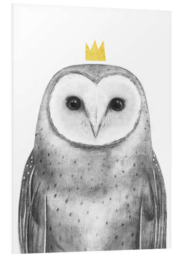 Foam board print Royal owl