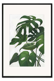 Gerahmter Kunstdruck Pura Vida I