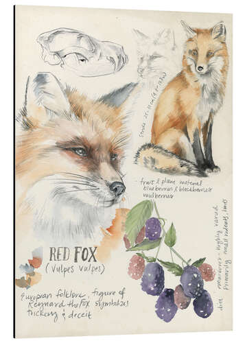 Alumiinitaulu Red Fox & Blackberries