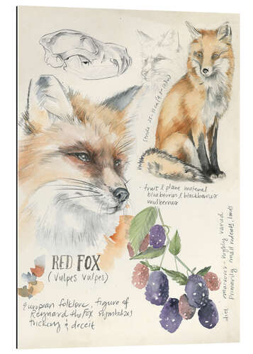 Galleriprint Red Fox & Blackberries