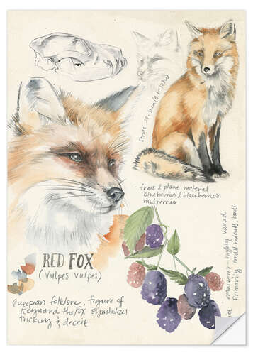 Naklejka na ścianę Red Fox & Blackberries