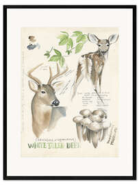 Framed art print Whitetailed deer &amp; forest mushrooms