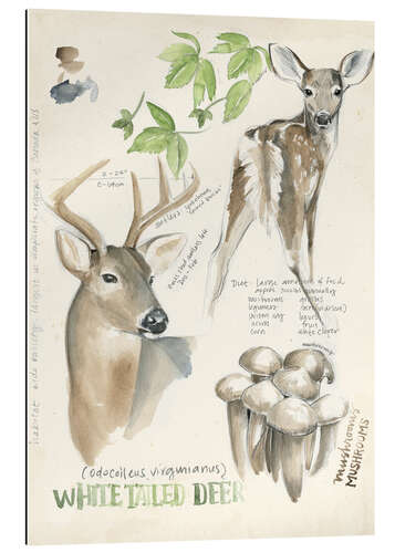 Gallery print Whitetailed deer & forest mushrooms