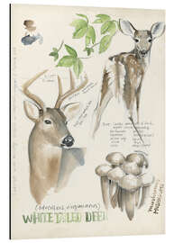 Magnettafel Weißwedelhirsch &amp; Waldpilze (Englisch)