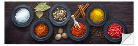 Naklejka na ścianę Spices - Uwe Merkel