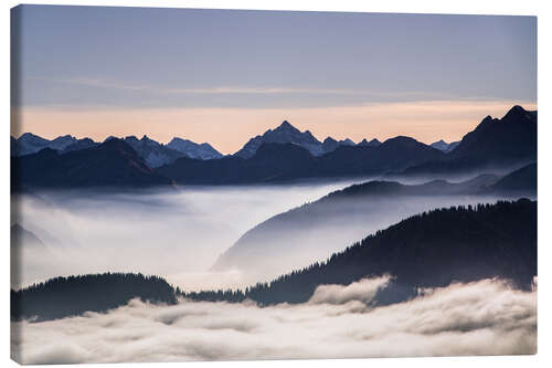 Quadro em tela Ave alta nos Alpes Allgäu