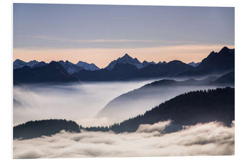 Foam board print High bird in the Allgäu Alps