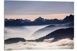 Galleriataulu High bird in the Allgäu Alps