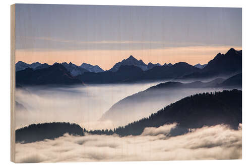 Wood print High bird in the Allgäu Alps