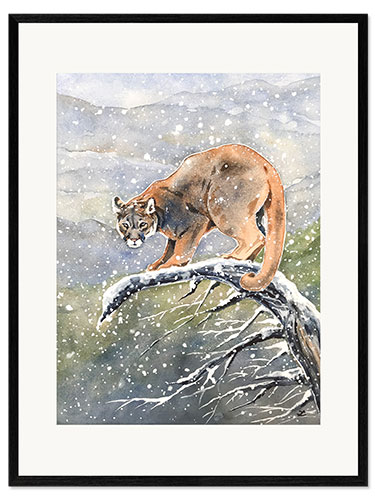 Framed art print Cougar