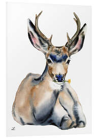 Foam board print Resting Deer