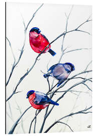 Aluminium print Eurasian Bullfinches