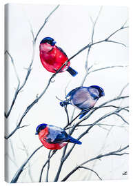 Canvas print Eurasian Bullfinches