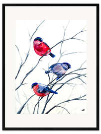 Plakat artystyczny premium w ramie Eurasian Bullfinches