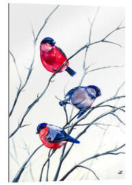 Gallery print Eurasian Bullfinches