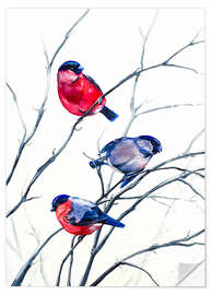 Selvklebende plakat Eurasian Bullfinches