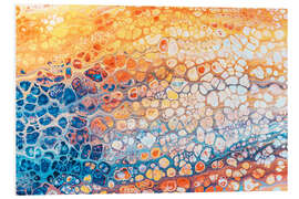 Foam board print Colorful abstract