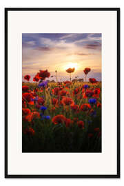 Gerahmter Kunstdruck Mohnblumen