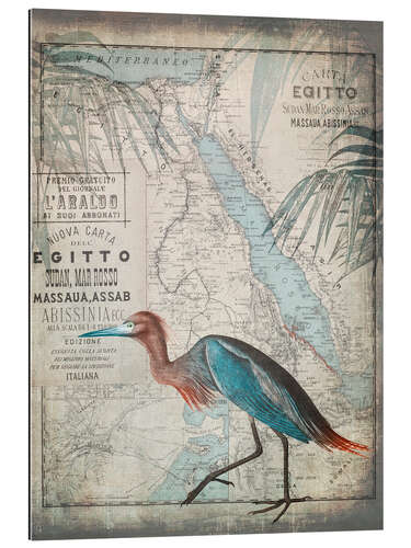 Gallery print Vintage Egret Egypt