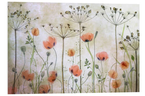 PVC-taulu Poppy Meadow