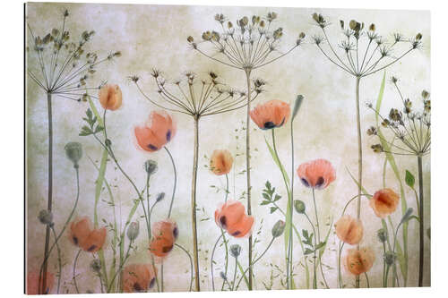 Gallery print Poppy Meadow