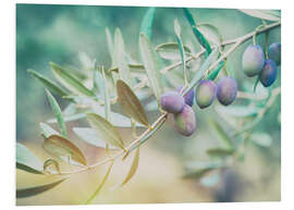 Foam board print Juicy olive branch