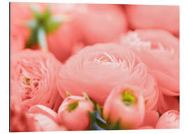 Magnettafel Ranunkelblüten