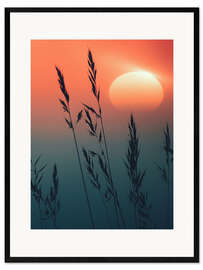 Plakat artystyczny premium w ramie Sunrise over grasses