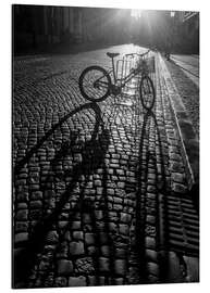 Magnettafel Drahtesel mit langem Schatten