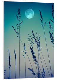 Gallery print Full moon over the grasses